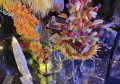 影楼招聘模板推荐文案（创意影楼招聘启事文案示例）