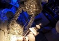 上海浦东新区上钢新村街道附近酒吧招聘包厢管家,上班需要喝酒吗？