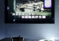 湖南邮政待遇文案招聘（湖南邮政招聘启事：探索优厚待遇与职业发展机遇）