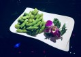 杭州求职新动向：哪些行业还有好岗位