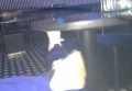 招聘优秀保安人员条件（招聘高素质安保人员要求）