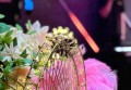 苏州华为招聘文案（苏州华为诚聘英才公告）